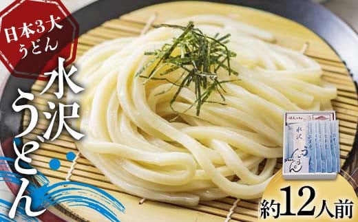 日本3大うどん 水沢うどん 約12人前 《商標登録の店が作った水沢うどん》 うどん 麺 麺類 加工品 食品 群馬県 渋川市 F4H-0432