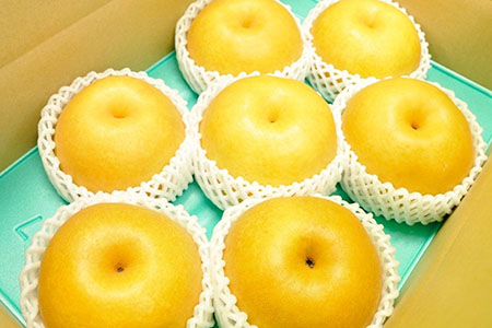 先行予約 和梨 新高 自家用 約5kg [10月上旬から発送予定] 令和7年度 新潟フルーツ 新潟県産 梨 [三条果樹専門家集団] 【010P060】