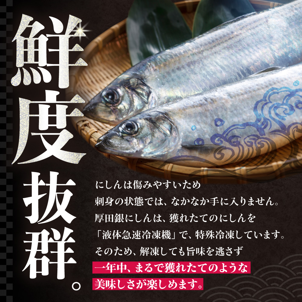 厚田銀にしん（刺身用）4枚入｜にしん 鰊 刺身 北海道 石狩市