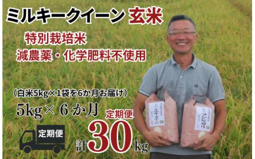 【ミルキークイーン 定期便 玄米 5kg✕6か月連続 松原グリーンファーム】 特別栽培米 ミルキークイーン 玄米 5kg （5kg×1袋） 6か月  合計 30kg  令和8年産 2026年産 小分け 単一米  減農薬 化学肥料不使用 埼玉県認証 埼玉県 川島町