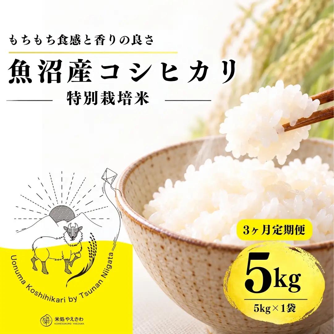 【3ヶ月定期便】【令和8年産 コシヒカリ】魚沼産コシヒカリ 特別栽培米 5kg(5kg×1袋) | 新潟県産コシヒカリ 魚沼産こしひかり 米 お米 こしひかり 白米 精米 ブランド米 津南町 米処やえざわ
