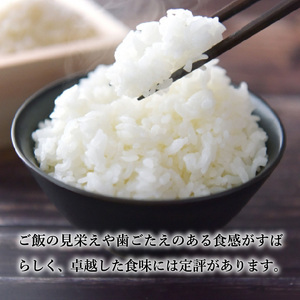 【岐阜県代表品種】　令和7年産　ハツシモ米　白米1kg　S20　【12月1日以降順次発送】