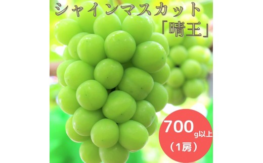 
                  岡山県産 シャインマスカット 晴王 選べる 700g以上 (1房) ／ 1.2kg以上 (2房) ／ 1.4kg以上 (2房) ＜9月中旬から10月中旬発送＞
                