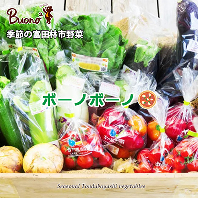 【2枚】南河内野菜たっぷりのボーノボーノピッツァ【配送不可地域：離島】【1531979】