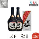 【ふるさと納税】奄美黒糖焼酎 天下一 30度 720ml 2本（箱入） 送料無料