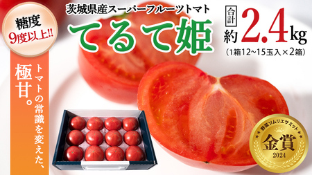 糖度9度以上 トマト 【 2025年収穫分 先行予約 】 スーパーフルーツトマト てるて姫 中箱  約1.2kg×2箱  【12〜15玉/1箱】 フルーツトマト ブランドトマト とまと てるて姫 野菜 人気 金賞 受賞 ギフト 贈答 茨城県 桜川市 【2025年2月上旬発送開始】[BC034sa]