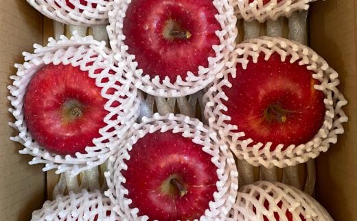 ＜2025年12月上旬よりお届け＞北海道壮瞥町　りんご　品種名「サンふじ」8～10玉約3kg SBTF006