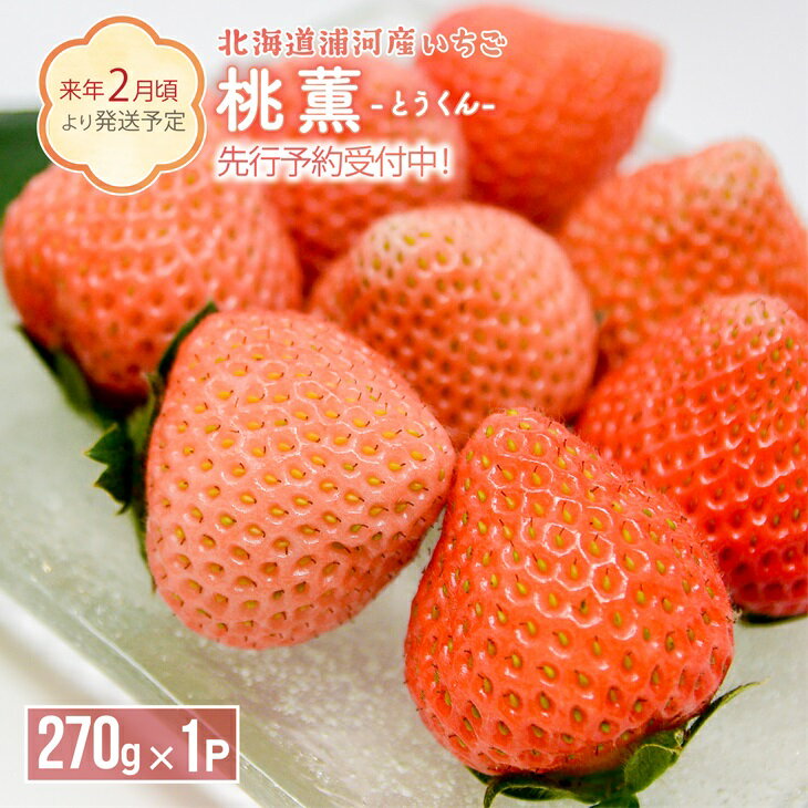 【ふるさと納税】【今が旬！】北海道浦河産いちご「桃薫」270g×1P[13-279] 北海道 浦河 ふるさと納税 いちご 苺 桃薫 モモ 希少 送料無料