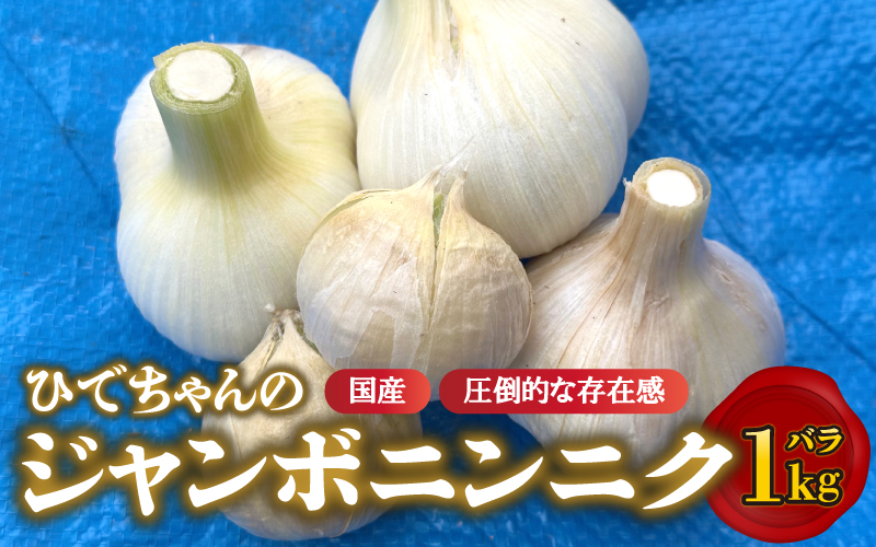 【先行予約】ひでちゃんのジャンボニンニク（バラ）1kg