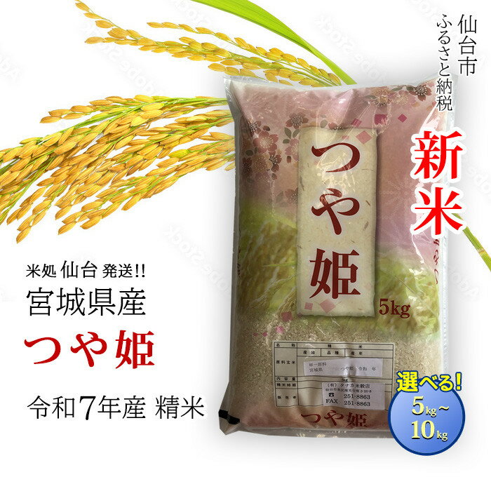 【ふるさと納税】【宮城県産 つや姫】令和7年度産 精米 ＜ 選べる内容量 5kg ／ 10kg ＞ 【米 お米 こめ コメ ご飯 ごはん】 | お米 こめ 白米 食品 人気 おすすめ 送料無料
