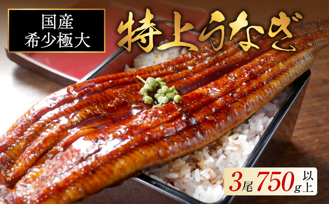 国産 希少 極大 特上うなぎ(250g×3尾)【OT000OE30】
