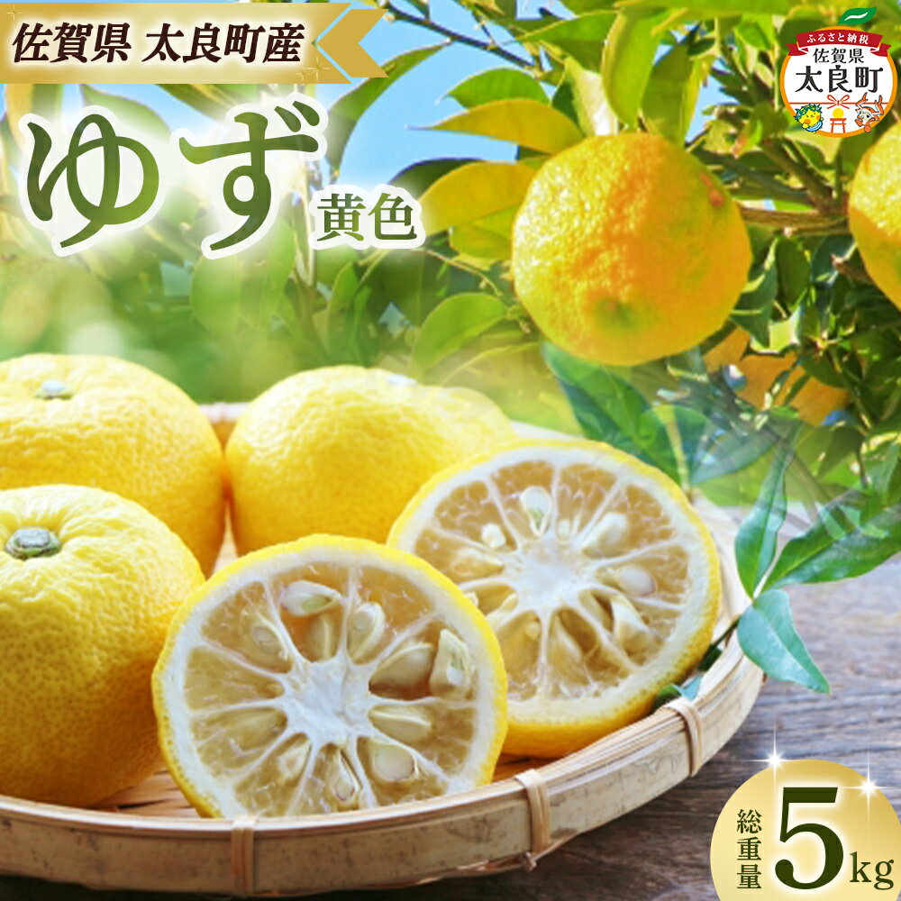 【ふるさと納税】田島柑橘園&加工所のゆず(黄色)5kg　ゆず ユズ 柚子 フルーツ 果物 柑橘 黄色 果皮 果汁 ゆずごしょう 柚子胡椒 スイーツ デザート アレンジ 柚子風呂 ゆず風呂 佐賀県 太良町 ND18