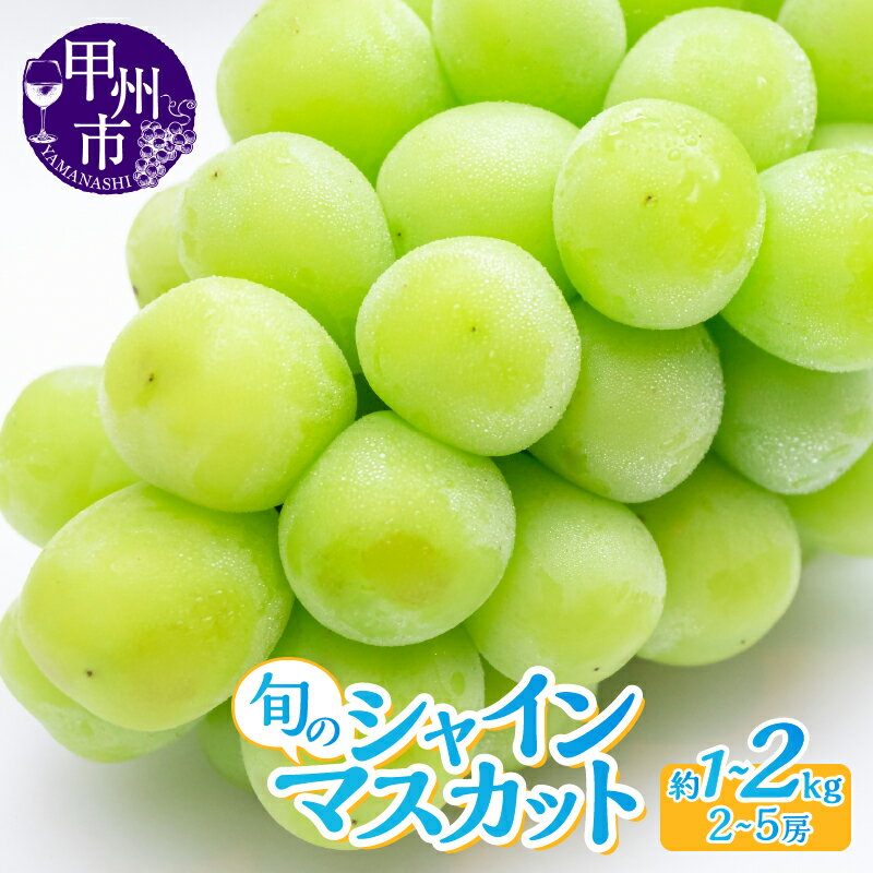 【ふるさと納税】 シャインマスカット 2026年 先行予約 選べる内容量 約1kg〜約2kg 2〜5房 果物 フルーツ ぶどう 8月 9月 10月 発送 葡萄 ブドウ 数量限定 期間限定 甘い 果実 くだもの 種なし ジューシー 山梨県産 甲州市産 社員マスカット 山梨県 甲州市 （LKS）