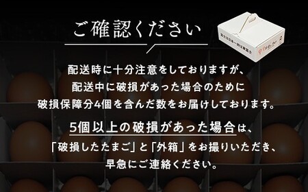 【定期便6ヶ月】《毎月12日と27日にお届け》御殿たまご 赤たまご 24個入×月2回（破損保障含む）（6個入モウルドパック×4P入）◇ ｜ 卵 タマゴ 玉子 たまごかけご飯 生卵 鶏卵 卵焼き 国産 