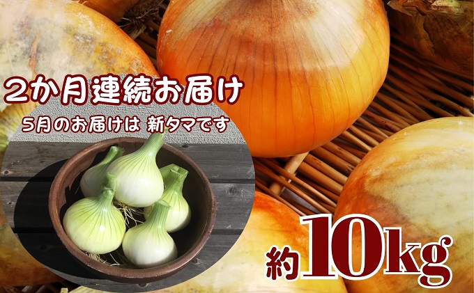 観音寺産採れたての たまねぎ　約10kg（2ヵ月連続お届け） 野菜 玉ねぎ タマネギ