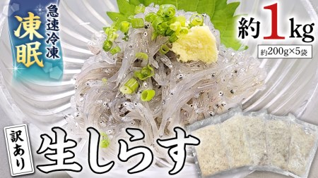 【先行予約 2026年5月発送予定】【凍眠】 冷凍 生しらす 約1kg 【訳あり】 しらす 小分け 魚介 海鮮 国産 真空パック [AU131ya]
