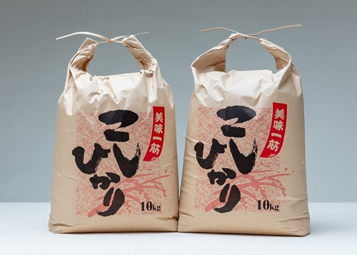 
            こしひかり 精米 20kg ／ 積木商店 お米 白米 米 こめ ご飯 おいしいお米 三重県 大台町
          