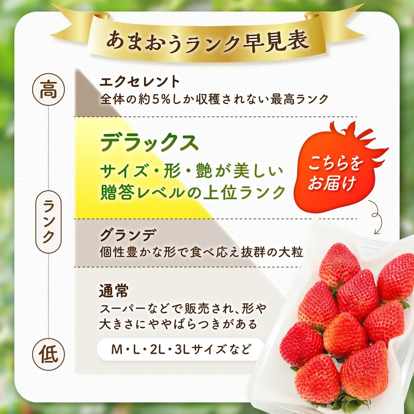 【3月発送】あまおうDX等級 1ケース（約270g×2パック） 広川町 / JAふくおか八女農産物直売所どろや[AFAB107]