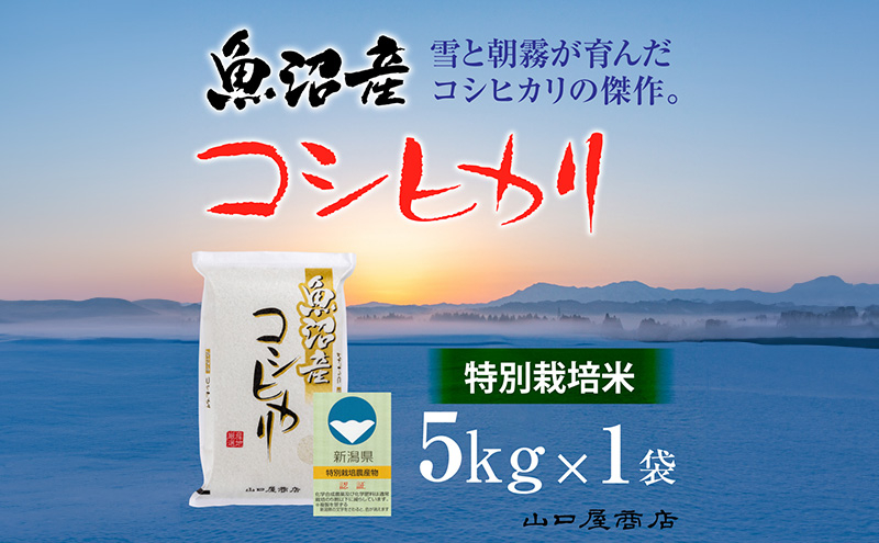 
            【厳選☆十日町育ち】“特別栽培米” 魚沼産コシヒカリ　5kg
          