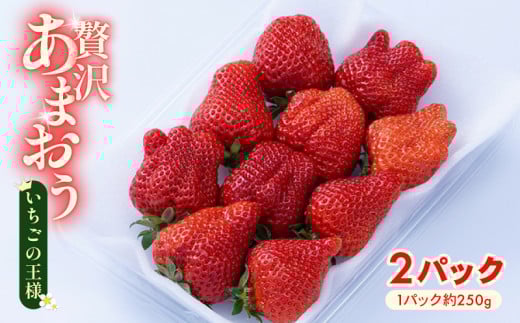 【2025年12月上旬から2026年1月末発送】【冬】福岡産 あまおう 2パック 冷蔵 12月上旬から1月末まで順次発送 旬 いちご 苺 あまおう フルーツ 果物 くだもの スイーツ ギフト 福岡県 川崎町