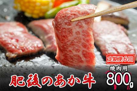 【定期便6回】肥後の赤牛 焼肉用 800g