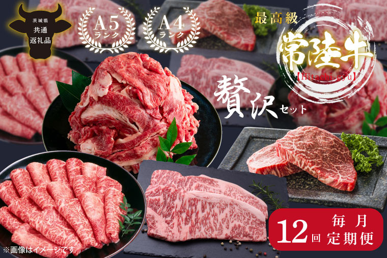 
                  【茨城県共通返礼品】【12回定期便】最高級A4.A5ランク 常陸牛贅沢セット(頒布会)【人気肉 お肉 牛肉 和牛 黒毛和牛 国産黒毛和牛 ロース肉 ステーキ 国産牛 焼肉 焼き肉 バーベキュー BBQ A5 ブランド牛】（CR114）
                