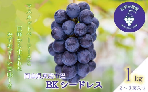 【2026年先行予約】ぶどう 岡山 花笑み農園の『BKシードレス』1kg（2～3房） 1kg 贈答用 濃厚 ぶどう 2026年9月中旬～ 受付順に発送予定 【hana027-03】