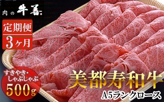 
            No.290 【毎月定期便3回】牛善特選 美都寿和牛 ロースすき焼き しゃぶしゃぶ用 A5ランク ／ 和牛 A5ランク 牛肉 ロース肉 すきやき用 しゃぶしゃぶ用 サシがきれい やわらかい肉 霜降り牛肉 贅沢 ご褒美 贈り物 肉ギフト 千葉県 特産
          