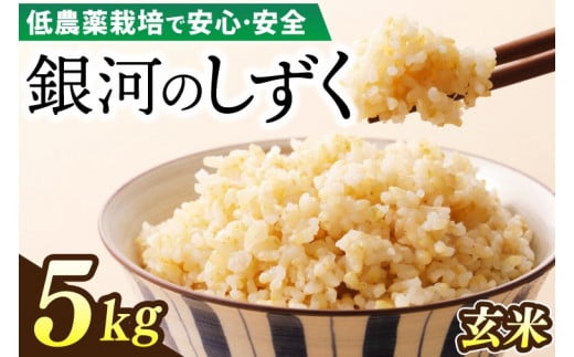 【新米】令和7年産 銀河のしずく 5kg (玄米) 低農薬栽培米 生産者直送 生産地域限定ブランド米 (EI017)