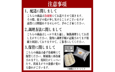 餃子 手作り餃子 20個入り 1袋 冷凍 鹿嶋市