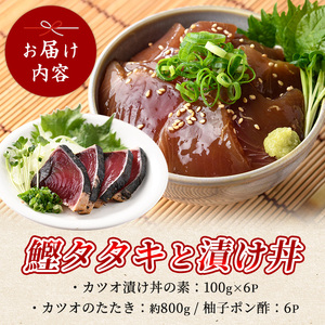 カツオのたたき(約800g)とカツオの海鮮漬け丼(100g×6袋) セット 山川町漁協 IB039-005 海鮮 海鮮 