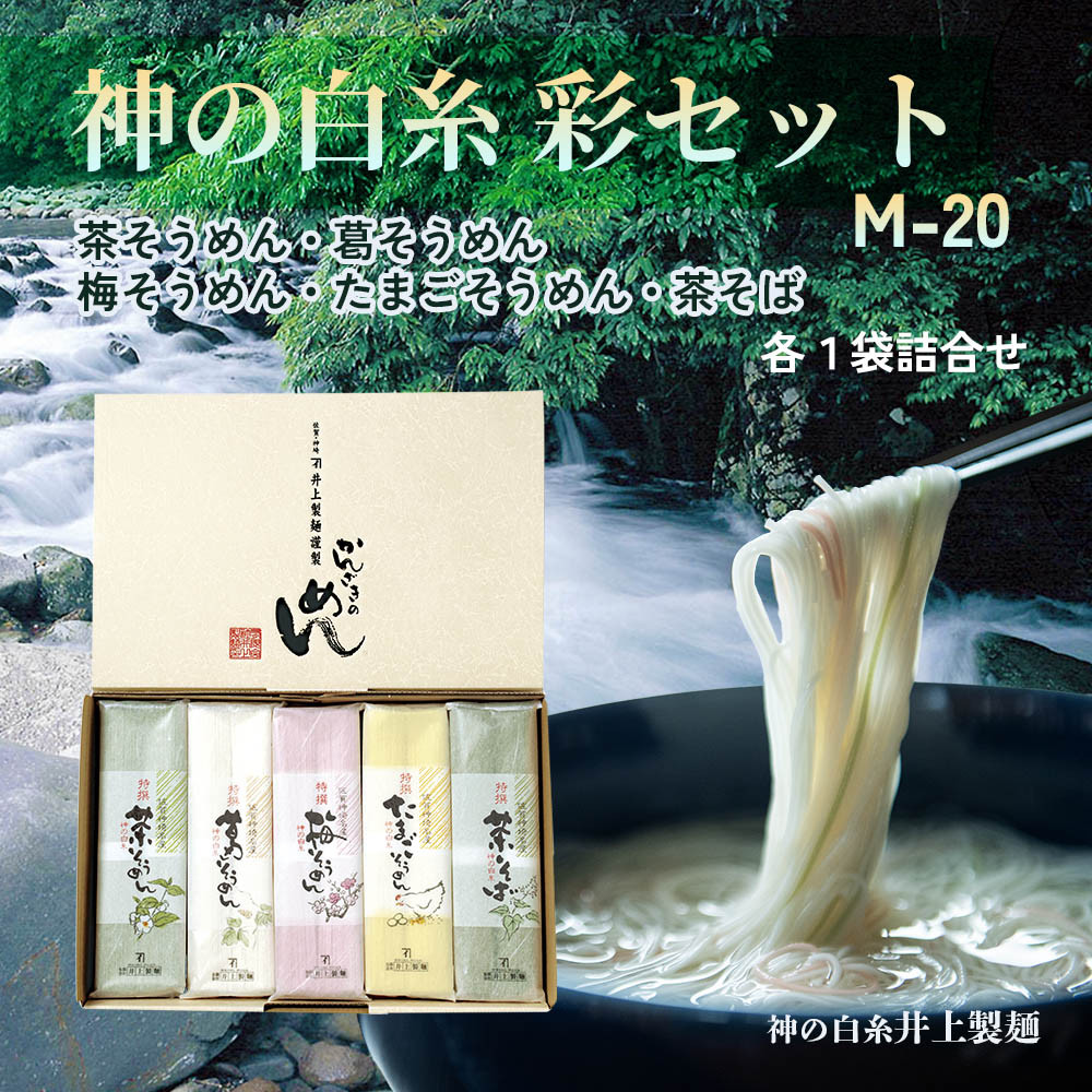 
            井上製麺 涼味 彩セット M-20(麺5種詰め合わせ)
          
