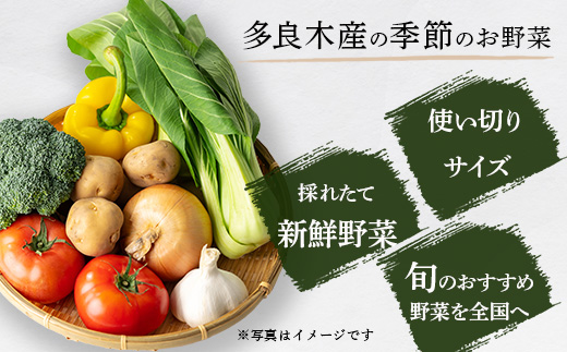 熊本の大地の恵み 旬の こだわり野菜詰め合わせセット 8〜12品 （3〜4名様向け）野菜 獲れたて 新鮮 野菜 セット 詰め合わせ 詰合せ 産地 直送 国産 季節 野菜 家族 ファミリー 多良木町 0