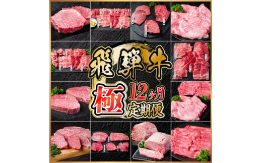 ＜毎月定期便＞＜毎月定期便＞飛騨牛 極定期便 計12.9kg＜冷蔵便＞全12回【4055987】