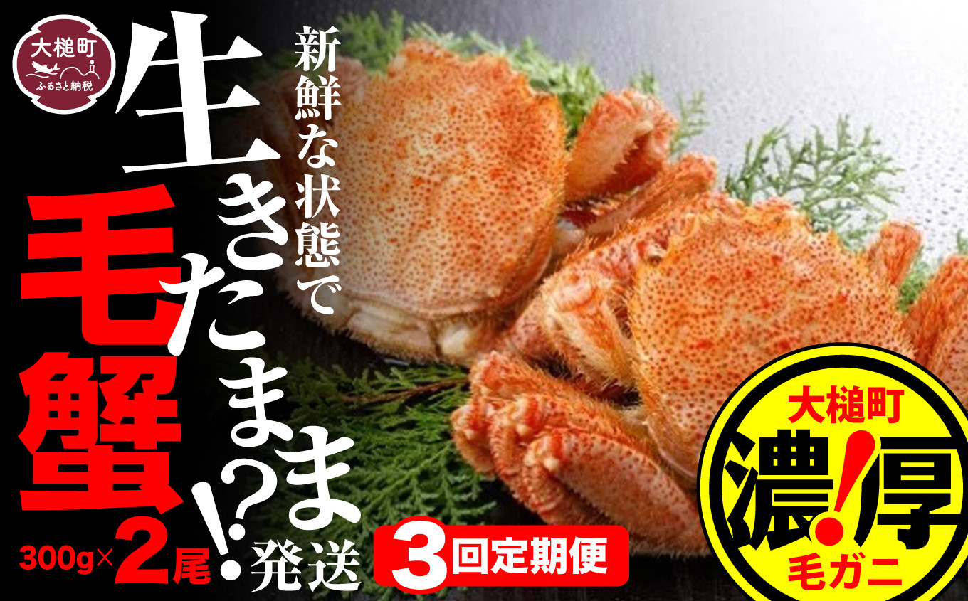 
            【令和8年発送先行予約】【3回定期便】三陸産！活毛ガニ 300g相当×2杯【08】 【2026年2月～4月発送】
          