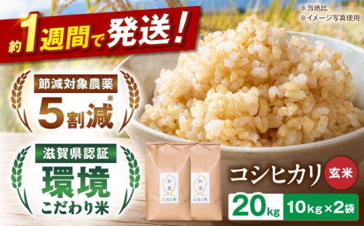 【令和8年産 新米】こしひかり 玄米 10kg × 2袋 20kg 産地直送 コシヒカリ 米 ご飯 玄米 ごはん おにぎり お弁当 お米 滋賀県 長浜市/株式会社エース物産 [AQAK005]