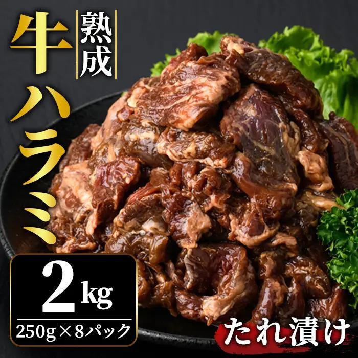 ハラミ 2kg (250g×8パック) たれ 味付 小分け焼肉 熟成 牛肉 【ハラミ】【ho1469】