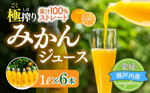ブルーレモンファーム ごくしぼりみかんジュース 1L 6本 国産 みかん ジュース 柑橘 蜜柑 ミカン ジュース 飲料 ドリンク 温州みかん 添加物不使用