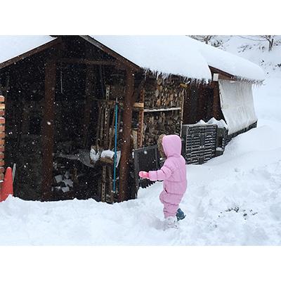 ふるさと納税 能登町 【毎月定期便】こりゃまいじゃ(能登町柳田産コシヒカリ)2kgと5kgを交互に!全12回 |  | 03