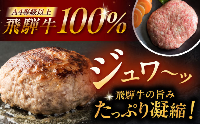 飛騨牛100% ハンバーグ4個 A5,A4ランク / 和牛 国産 惣菜 肉 にく 牛肉 国産 和牛 高級肉 霜降り 産地直送 贈答用 ギフト ブランド牛 岐阜県 希少部位 岐阜県産 人気 お取り寄せ 