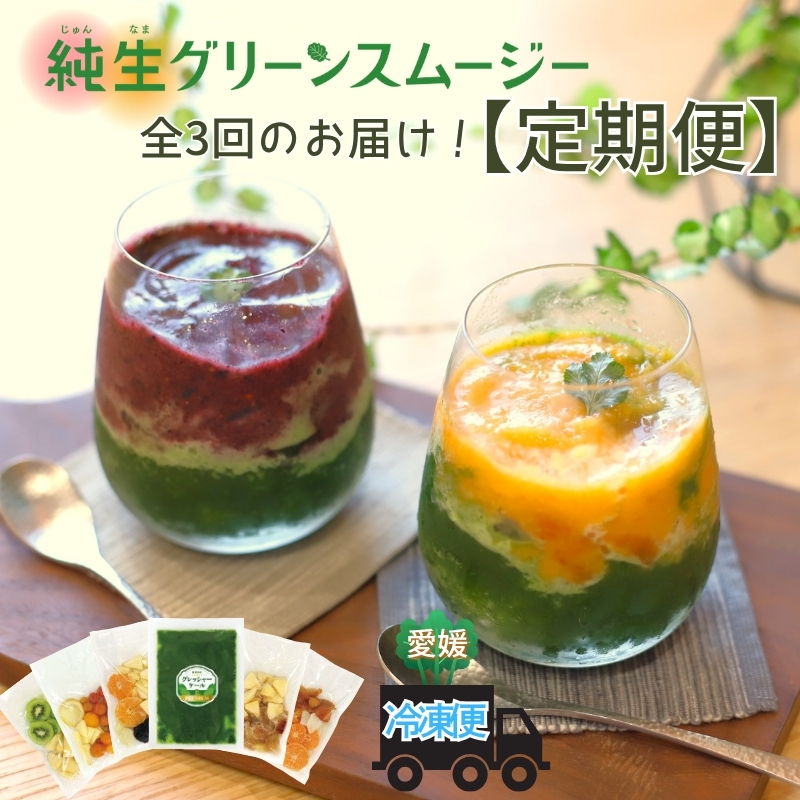 スムージー 定期便 3回 ケール 果物・野菜5種 ブルーベリー バナナ キウイフルーツ リンゴ 温州みかん ビーツ ミニトマト いちじく ポポー 冷凍 遠藤青汁 endou元気BAR 伊予市 愛媛 | E23