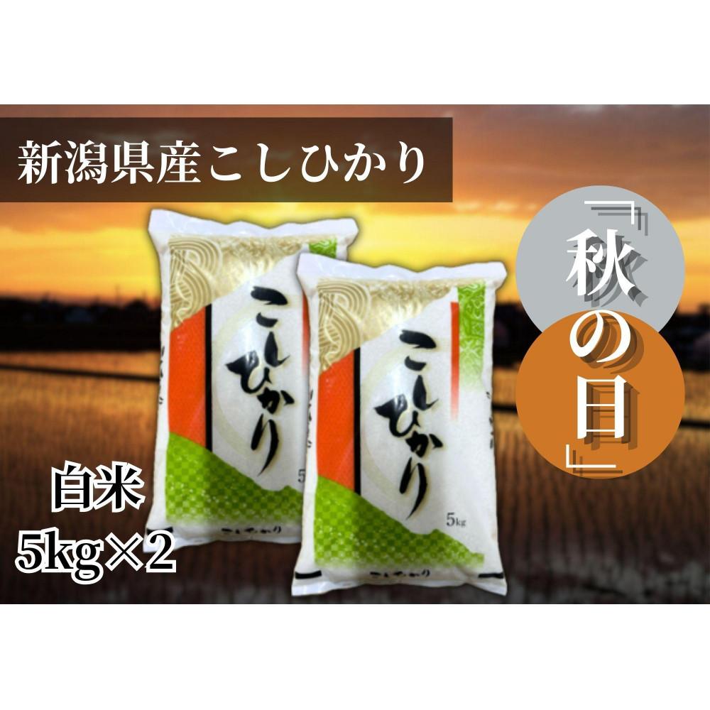 【ふるさと納税】【令和7年産 】新潟県産こしひかり「秋の日」（白米10kg）【5kg×2袋】新潟県の美味しいお米。