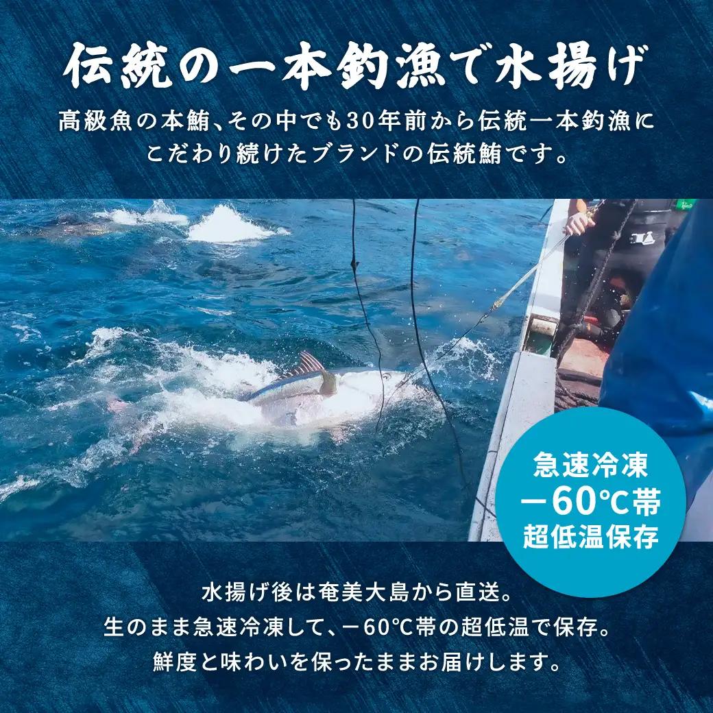 奄美大島 伝統鮪 厚切り 中トロ・赤身（各1柵 各250g）セット 柵 冷凍 鮪 まぐろ 海鮮 刺し身 お刺身 さしみ 生食用 赤身 中トロ 鹿児島県 奄美大島 宇検村