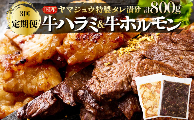 
            ヤマジュウの特選タレ漬け！牛ハラミ肉＆国産牛ホルモン計８００ｇ【３回定期便】 頒布会
          