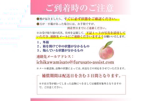 【先行予約】【市川三郷町産】プレミアム 桃6玉　【2025年7月中旬から発送】！Inakakara[5839-2019]