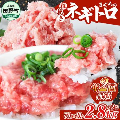ふるさと納税 田野町 〜四国一小さなまち〜≪カネアリ水産≫まぐろのネギトロ2.8kg(70g×40パック)★年2回配送★