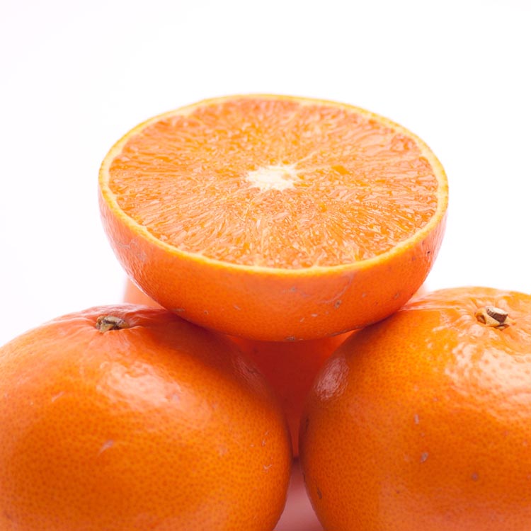 ＜2月より発送＞厳選 せとか2.5kg+250g（傷み補償分）◇｜柑橘・春みかんの王様【光センサー選果・食べ頃出荷】※北海道・沖縄・離島への配送 ※2026年2月中旬～3月下旬頃に順次発送予定