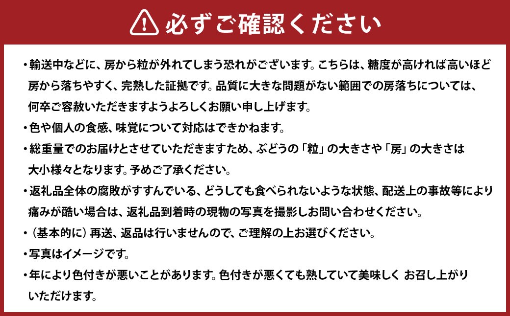 クイーンニーナ 2～3房 計約1.1kg
