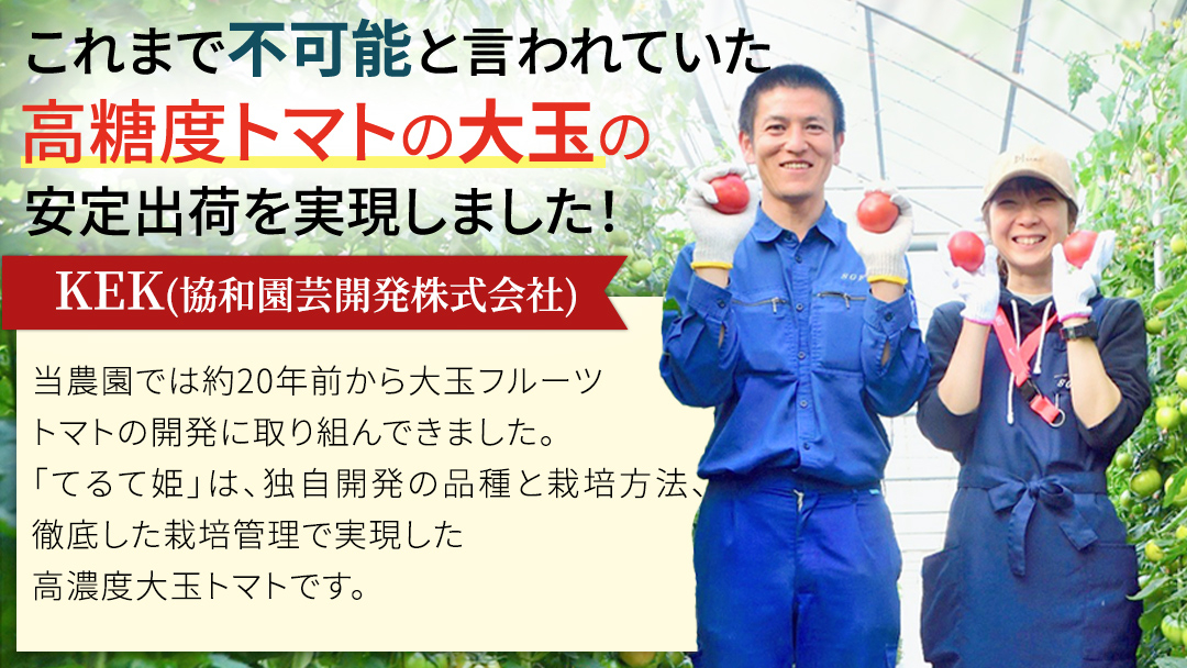 《 2027年 収穫分 》4～5月配送 スーパーフルーツトマト てるて姫 中箱 約1.2kg × 1箱 【12～15玉/1箱】 糖度9度以上 先行予約 フルーツトマト ブランドトマト 野菜 ギフト 贈答 青空レストラン アド街ック天国 グッドモーニング 黄金のワンスプーン 昼めし旅 [BC033sa]