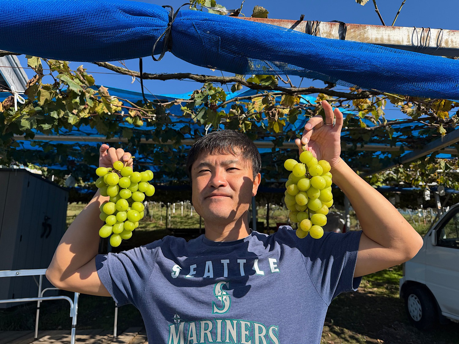 
                  有田巨峰村三木と園のあま～い露地栽培種ありシャインマスカット 約1kg（2房）［2026年10月より順次発送］
                